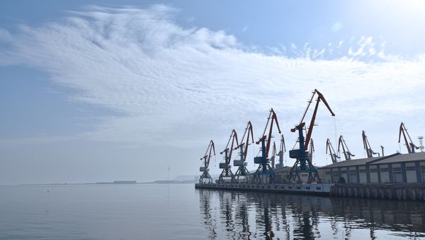 Портовые краны в Бакинском морском торговом порту - Sputnik Азербайджан