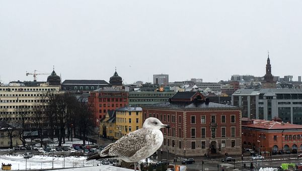 Города Мира. Осло - Sputnik Азербайджан