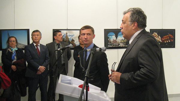 Выступление Андрея Карлова в художественной галерее в Анкаре - Sputnik Азербайджан