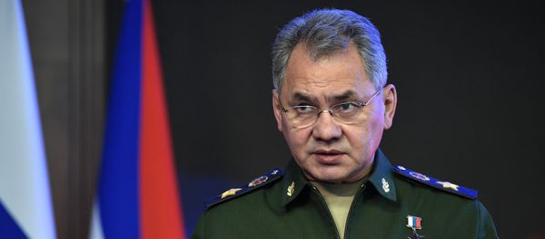 Министр обороны РФ Сергей Шойгу - Sputnik Азербайджан