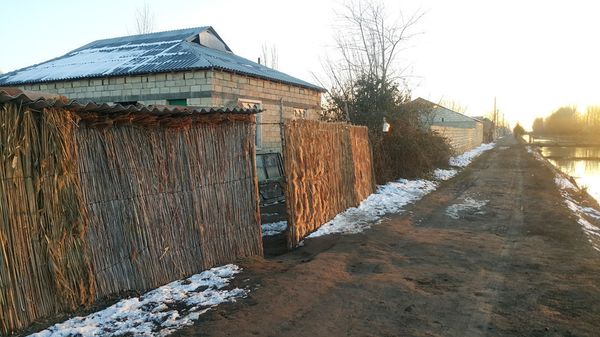 Улица, на которой расположен дом Гасановых - Sputnik Азербайджан