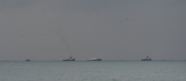 Место крушения самолёта Ту-154 Минобороны РФ в Сочи - Sputnik Азербайджан