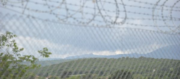 Колючая проволока на границе, фото из архива - Sputnik Азербайджан