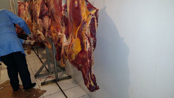 Подпольный цех по разделке туш и обвалке мяса в Тезе Базар - Sputnik Азербайджан