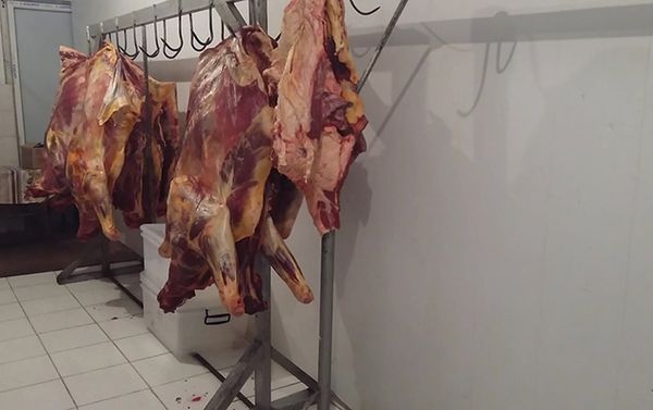 Подпольный цех по разделке туш и обвалке мяса в Тезе Базар - Sputnik Азербайджан