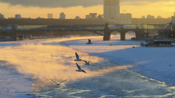 Морозы в Москве - Sputnik Азербайджан