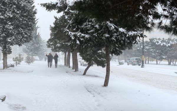 Обильный снегопад в Баку - Sputnik Азербайджан