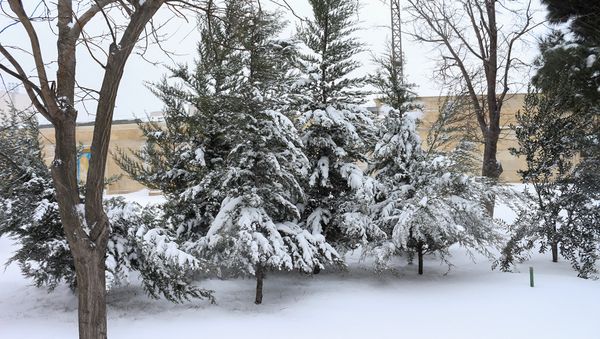 Обильный снегопад в Баку - Sputnik Азербайджан