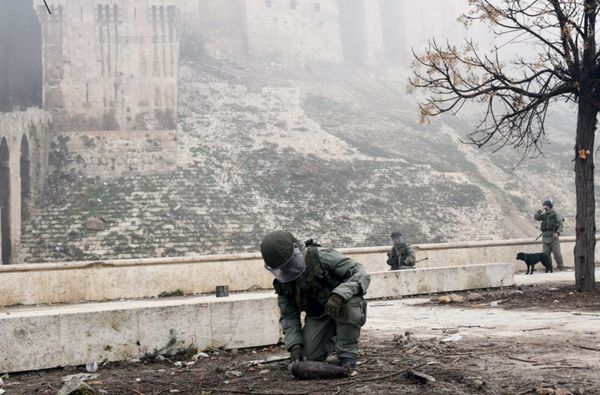 Разминирование российскими инженерами исторической Цитадели древней крепости Алеппо - Sputnik Азербайджан