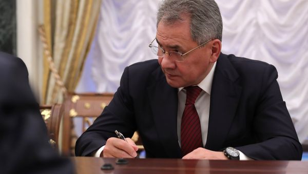 Министр обороны РФ, генерал армии Сергей Шойгу, архивное фото - Sputnik Азербайджан