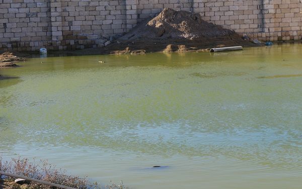 В поселке Ашагы Гюздек Абшеронского района произошел разлив озера Дашагиль - Sputnik Азербайджан