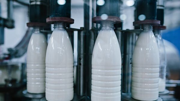 Молочная продукция, фото из архива - Sputnik Азербайджан