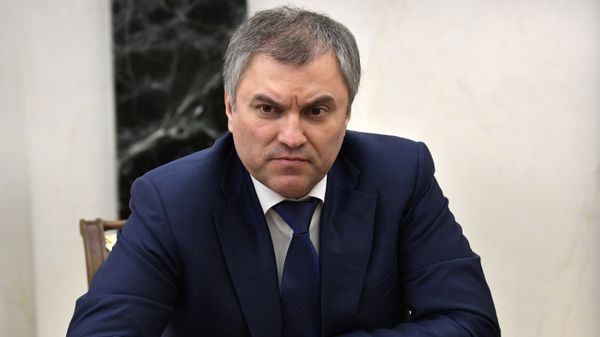 Председатель Государственной Думы РФ Вячеслав Володин - Sputnik Азербайджан
