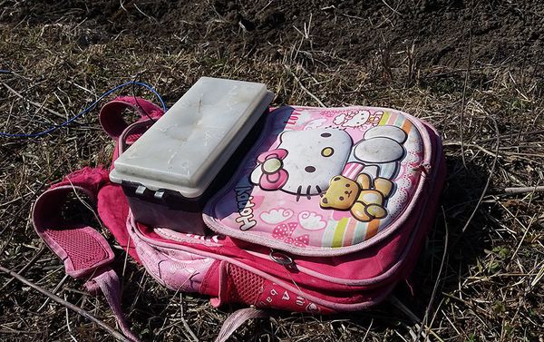 Если животное дотронется до прибора, тот издает звук и выдает неопасный для жизни разряд энергии - Sputnik Азербайджан