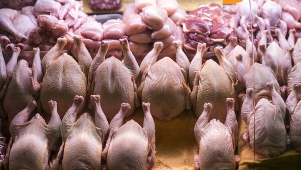Прилавок с мясом птицы, фото из архива - Sputnik Азербайджан