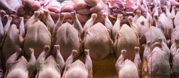Прилавок с мясом птицы, фото из архива - Sputnik Азербайджан