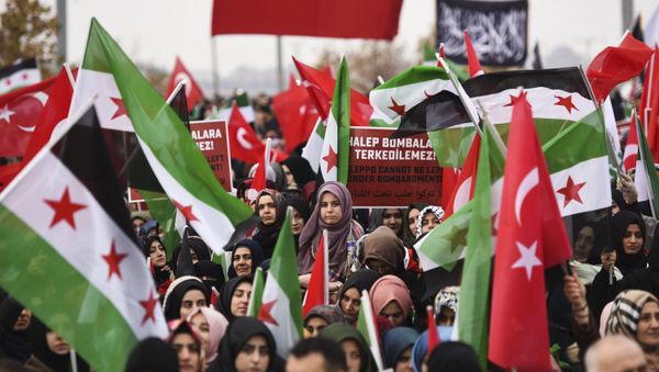 Протестующие с флагами Сирии и Турции во время демонстрации в Рейханли в Хатае, недалеко от сирийской границы, 17 декабря 2016 года - Sputnik Азербайджан