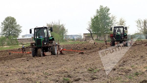 Уборка хлопка - Sputnik Азербайджан