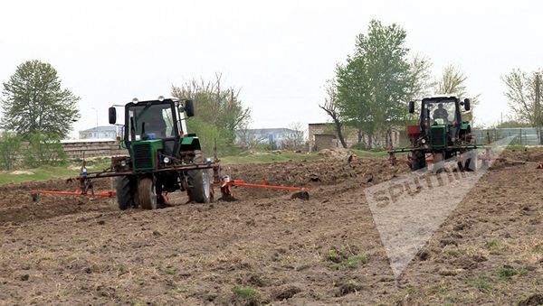 Уборка хлопка - Sputnik Азербайджан