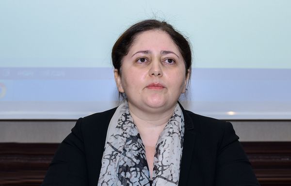 Заместитель председателя Государственного комитета по проблемам семьи, женщин и детей Айнур Софиева - Sputnik Азербайджан