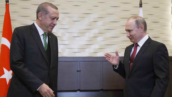 Президент России Владимир Путин (справа) на встрече со своим турецким коллегой Тайипом Эрдоганом в Сочи, Россия, 3 мая 2017 года - Sputnik Азербайджан