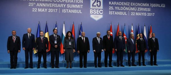 Главы делегаций стран-участниц ОЧЭС в Стамбуле - Sputnik Азербайджан