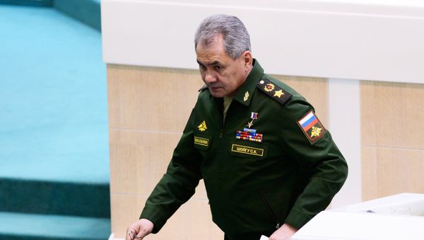 Министр обороны РФ Сергей Шойгу , фото из архива - Sputnik Азербайджан