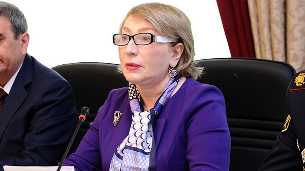Председатель Комитета по вопросам семьи, женщин и детей Милли Меджлиса Агия Нахчыванлы - Sputnik Азербайджан