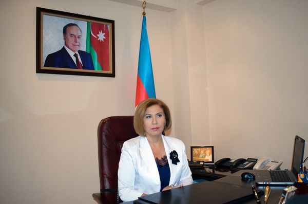 Заместитель председателя Милли Меджлиса Азербайджана: Россия, как страна, привлеченная к решению карабахского конфликта, должна активизировать свои усилия - Sputnik Азербайджан