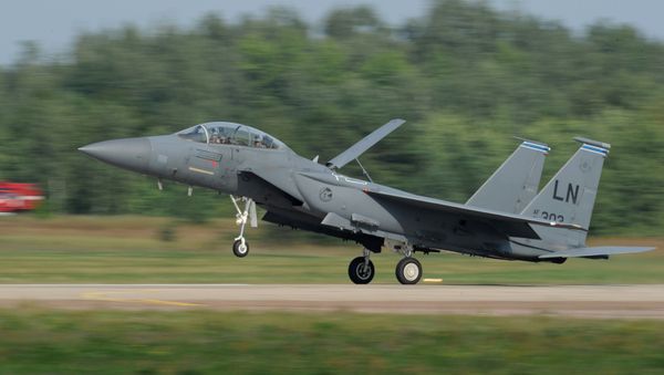 Американский всепогодный тактический истребитель McDonnell Douglas F-15 - Sputnik Азербайджан