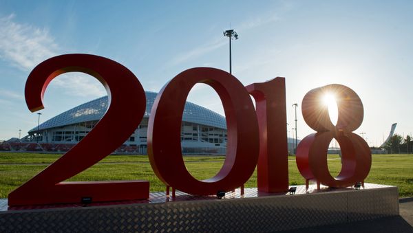 Подготовка к Кубку конфедераций 2017 в Сочи - Sputnik Азербайджан