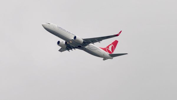 Türk hava Yollarının təyyarəsi, arxiv şəkli - Sputnik Азербайджан