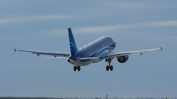 Самолет AZAL - Sputnik Азербайджан