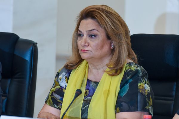 Глава Государственного комитета по проблемам семьи, женщин и детей Хиджран Гусейнова - Sputnik Азербайджан