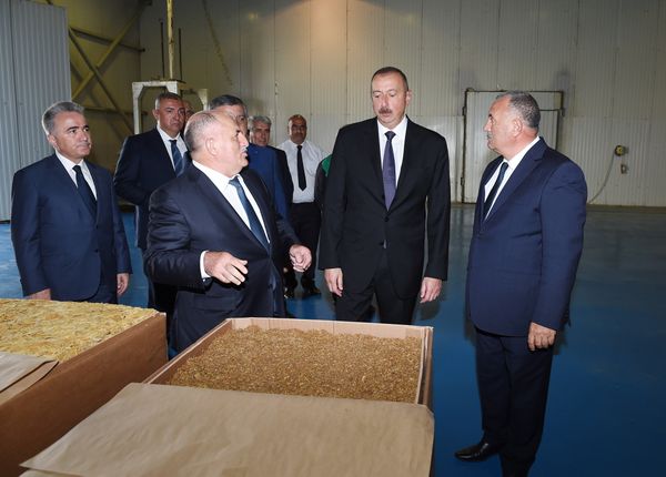 Президент Ильхам Алиев ознакомился с деятельностью завода по переработке табака - Sputnik Азербайджан