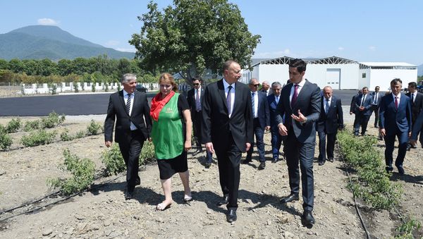 Президент ознакомился с продолжающимся строительством объекта производства розового масла - Sputnik Азербайджан