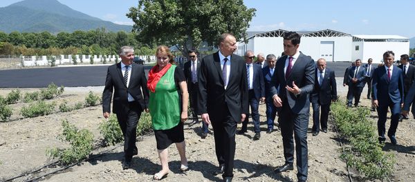 Президент ознакомился с продолжающимся строительством объекта производства розового масла - Sputnik Азербайджан