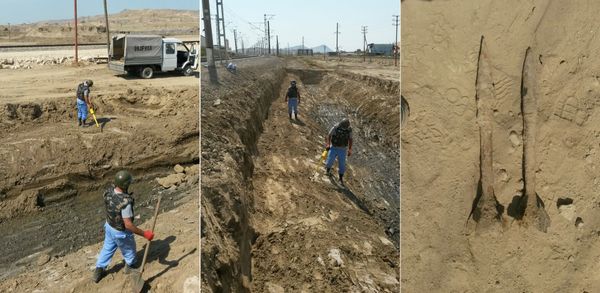 Неразорвавшиеся боеприпасы, обнаруженные в поселке Локбатан Гарадагского района  - Sputnik Азербайджан