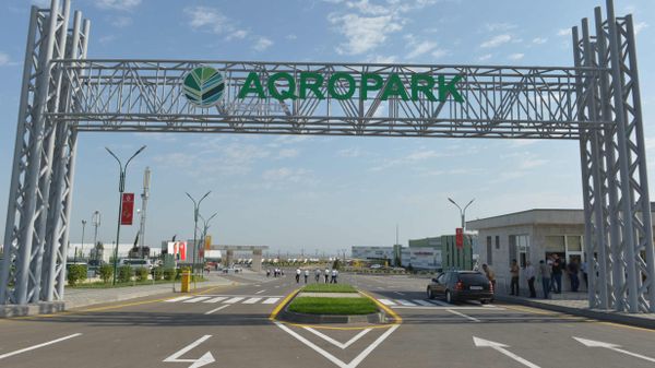Шамкирский агропарк - Sputnik Азербайджан