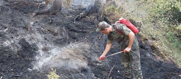 Сотрудники МЧС Азербайджана участвуют в тушении пожаров в Боржоми-Харагаульском лесу Грузии - Sputnik Азербайджан