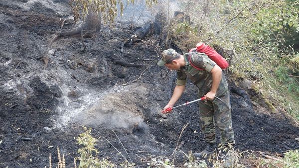 Сотрудники МЧС Азербайджана участвуют в тушении пожаров в Боржоми-Харагаульском лесу Грузии - Sputnik Азербайджан