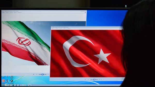 Флаги Ирана и Турции на экране компьютера - Sputnik Азербайджан