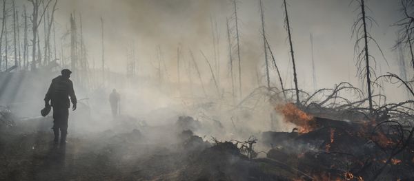 Последствия лесных пожаров, фото из архива - Sputnik Азербайджан