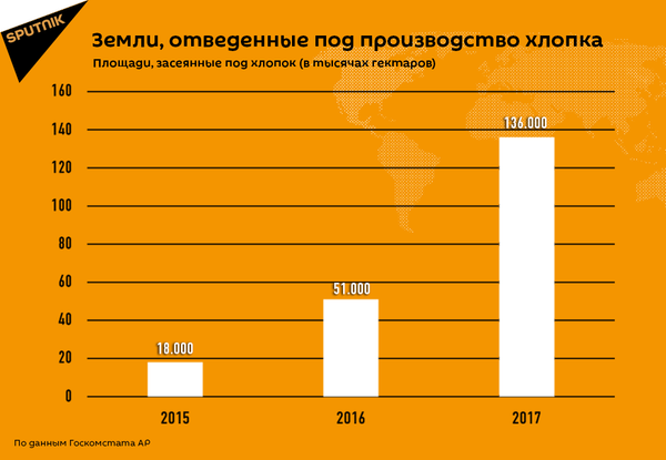 Земли, отведенные под производство хлопка - Sputnik Азербайджан
