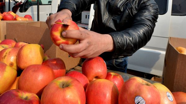Продавец яблок на продовольственной ярмарке - Sputnik Азербайджан