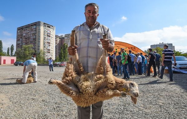 Гурбан байрам в Баку - Sputnik Азербайджан
