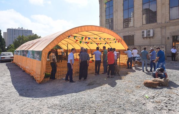 Гурбан байрам в Баку - Sputnik Азербайджан