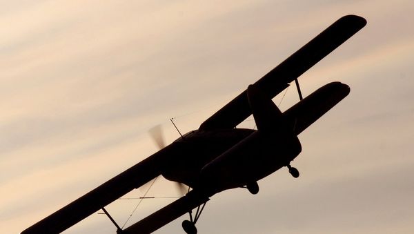 Cамолет Ан-2, фото из архива - Sputnik Азербайджан