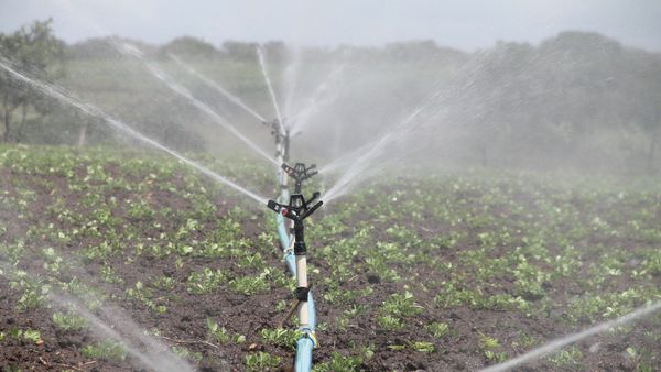 Система орошения, фото из архива - Sputnik Азербайджан