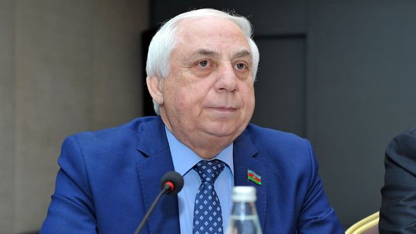 Председатель комитета Милли Меджлиса АР Хады Раджабли - Sputnik Азербайджан